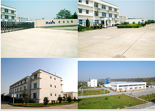 Habio Catalase Watersoluble Powder / Liquid Leading Top Quality Enzyme