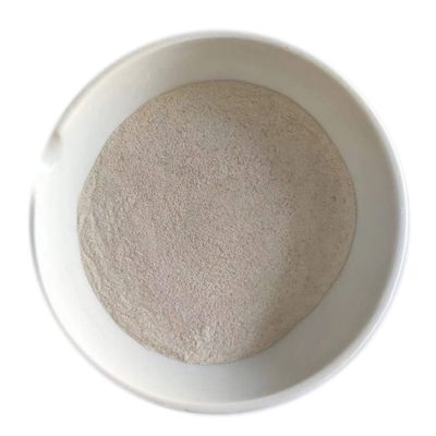 빵집 ISO9001을 위한 맥간 황색 식품 등급 리파아제 효소에 하얗습니다