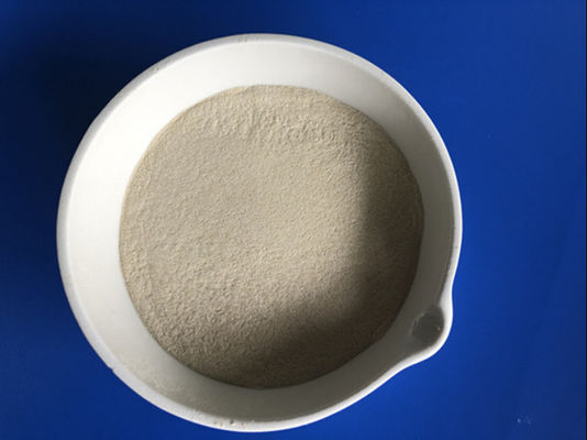 식품 산업에서 Cas 9025 57 4 프로테아제 소화 효소 80 메쉬 프로테아제