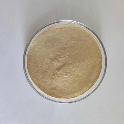 Habio 프로테아제 BP100 100,000U/g 분말/과립 전체 장 공급 프로테아제