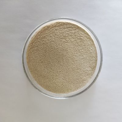 Habio 산성 프로테아제 분말 고능률 산성 단백질 분해 효소 100,000U/G