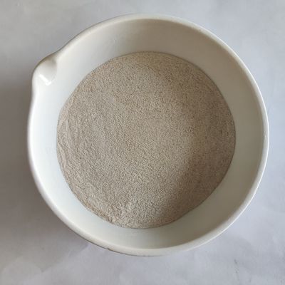 효소 리파스 분말 5만~200만 미생물 발효 리파스 효소