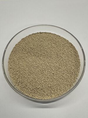 림프 지방 효소 림프 지방 소화 능력 향상 및 20,000U/g 활동으로 에너지 사용 증진