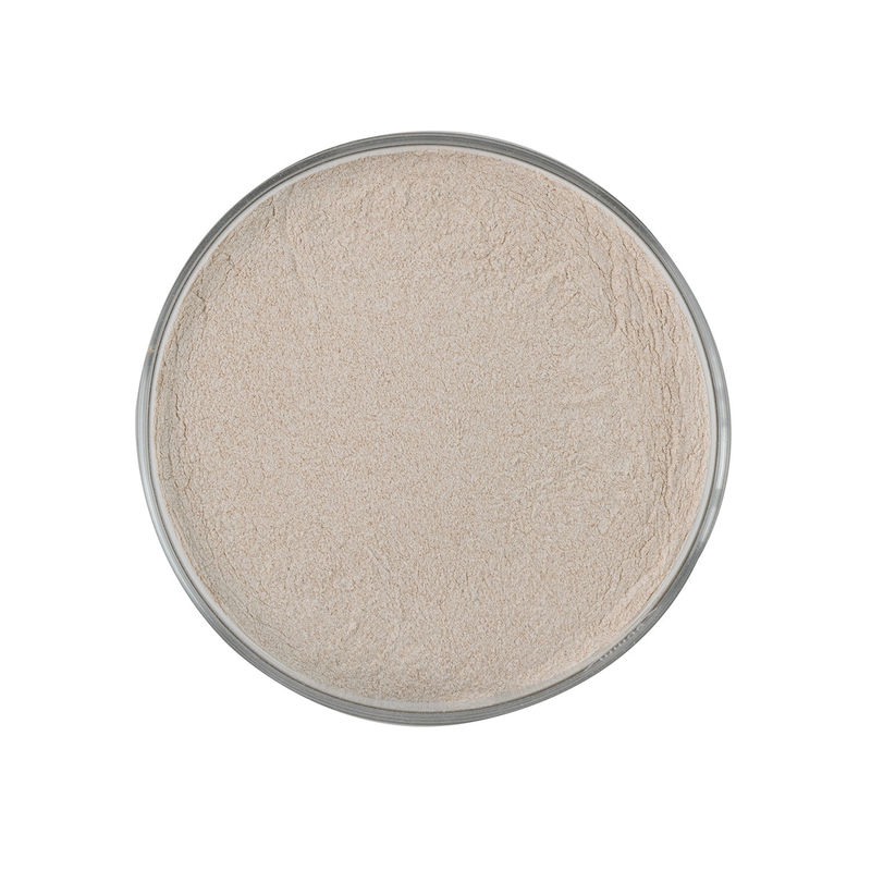 수분분화 효소 50,000u/g 알파 아밀레이스 파우더 보충제