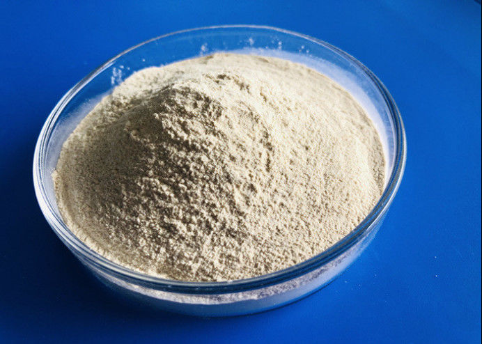 식품 산업에서 Cas 9025 57 4 프로테아제 소화 효소 80 메쉬 프로테아제