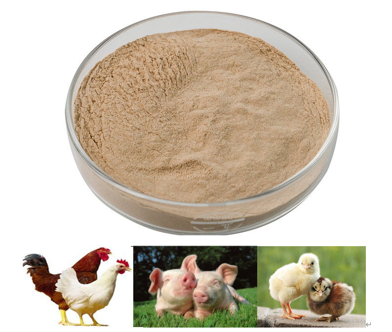 높은 안정성을 가진 Habio Protease Feed Grade Peptide Splitting Enzyme