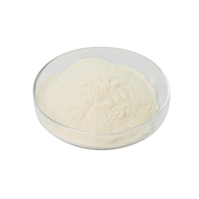 효소 리파스 분말 5만~200만 미생물 발효 리파스 효소