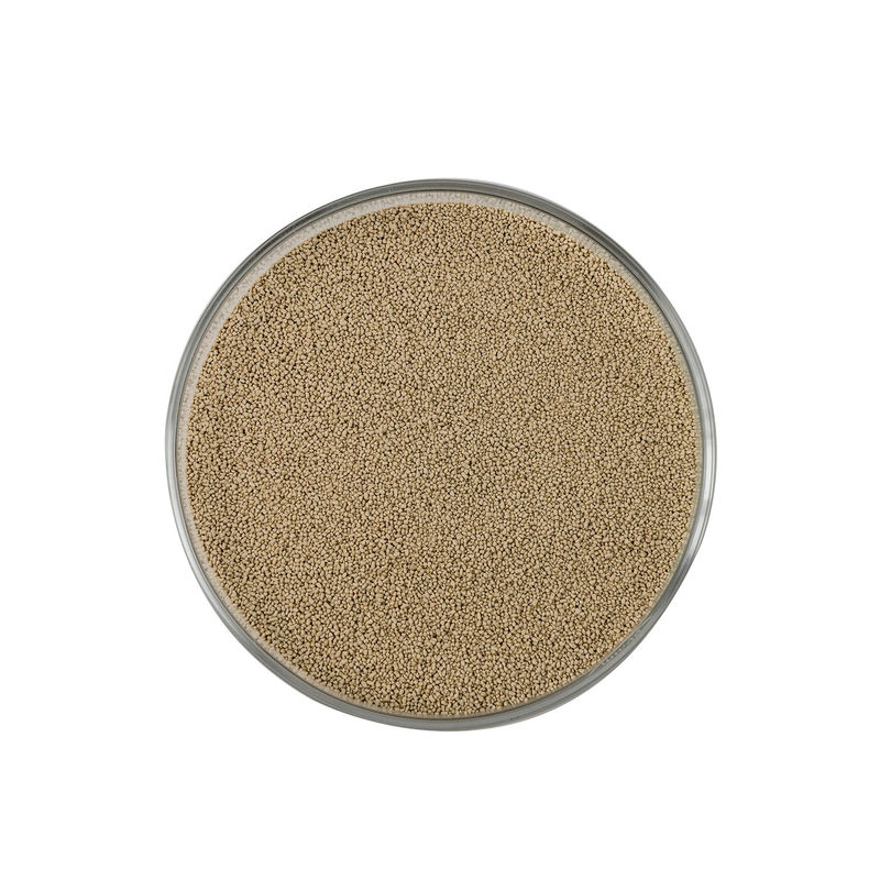 Customized  Enzyme Blend Powder for Animal Nutrition Optimize Animal Feed Efficiency