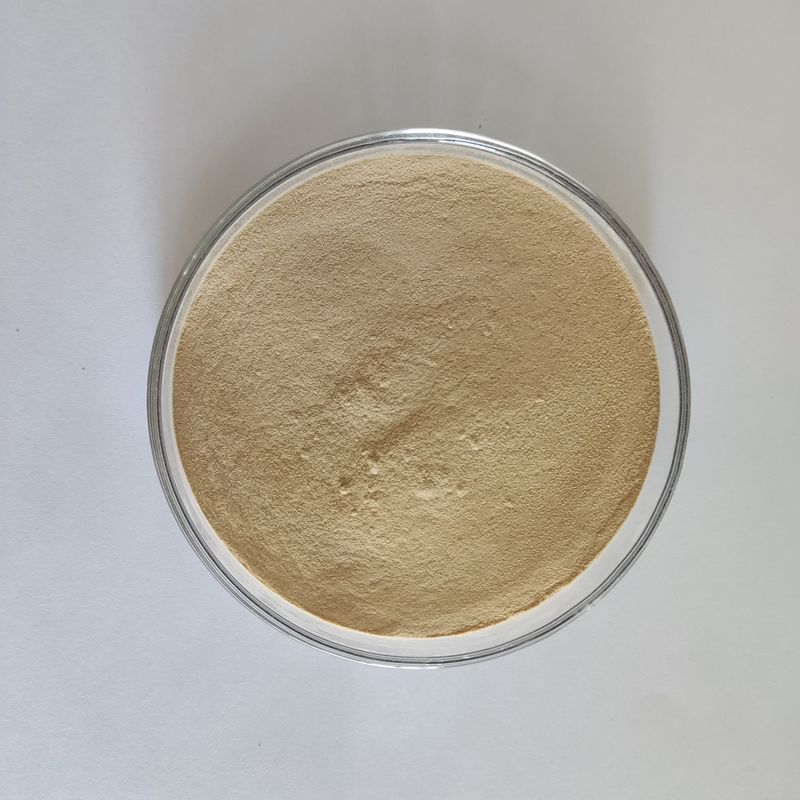 Habio 프로테아제 BP100 100,000U/g 분말/과립 전체 장 공급 프로테아제