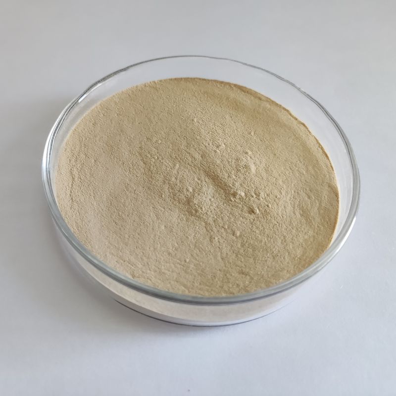 Habio 프로테아제 BP100 100,000U/g 분말/과립 전체 장 공급 프로테아제