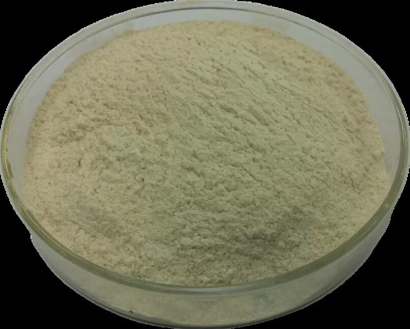 Habio Pectinase Feed Enzyme for Improved Nutrient Release and Digestibility in Animal Feed CAS 9032-75-1