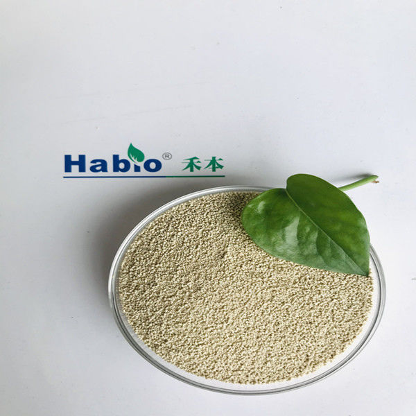 ISO9001 증명서를 가진 급료 리파제 Habio 효소 분말을 급식하십시오