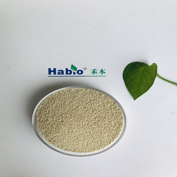 동물성 피부 상태를 위한 Habio 리포자임 효소 사료 첨가제
