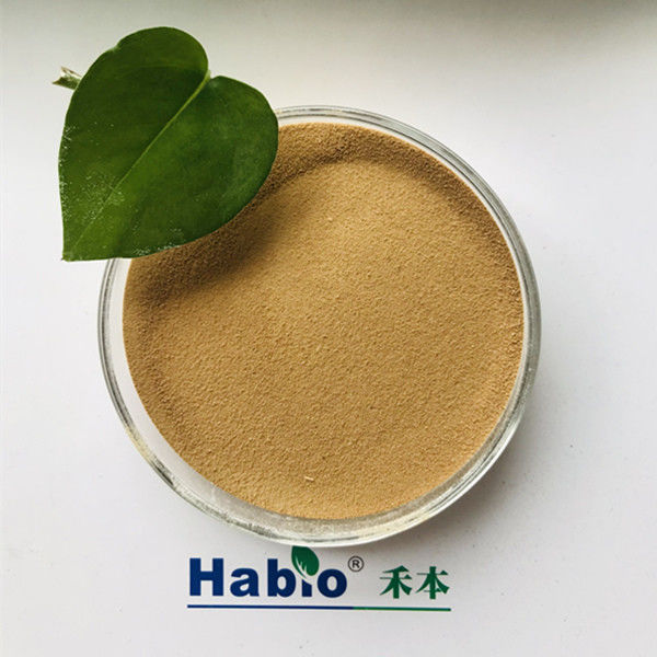 가죽 산업을 위한 Habio 알칼리성 프로테아제 25kg/가방 높은 활동