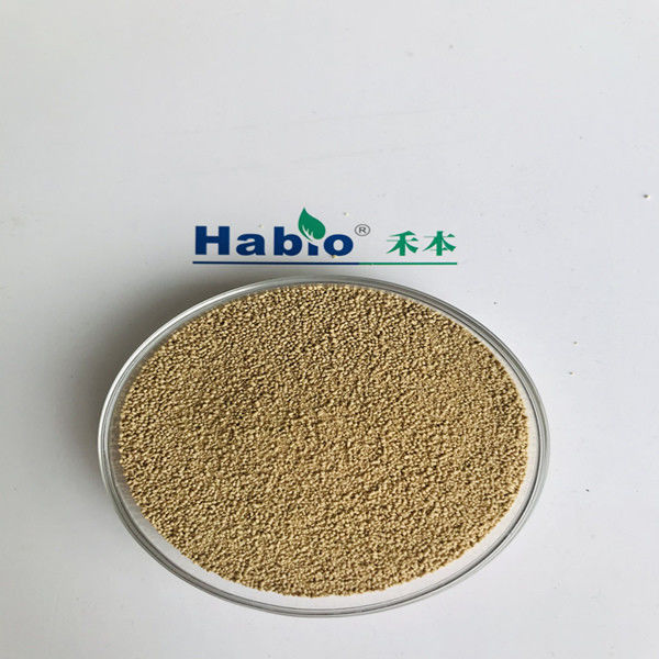 가금류 사료 25kg/Bag에 사용되는 NSP Habio 효소 분말 과립