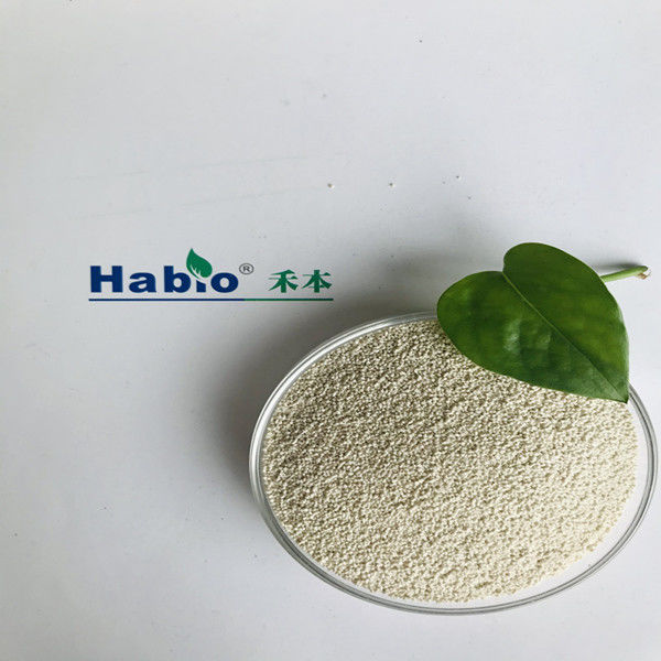 10000U/G 소화 Xylanase 효소 개선 영양소 이용률