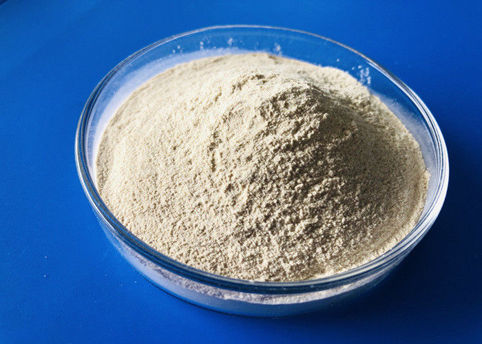 매우 효과적인 단백질 분해를 위한 CAS 9025 57 4 80 메시 프로테아제 효소
